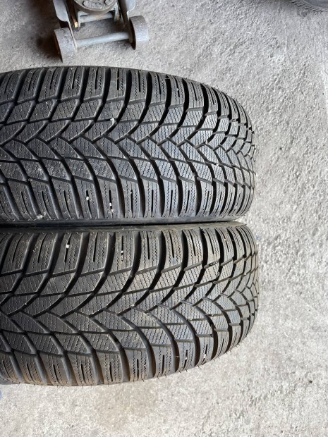 205/50R17 tligumik