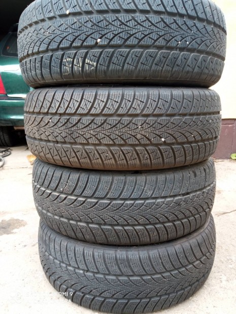 205/55r17 tligumi 