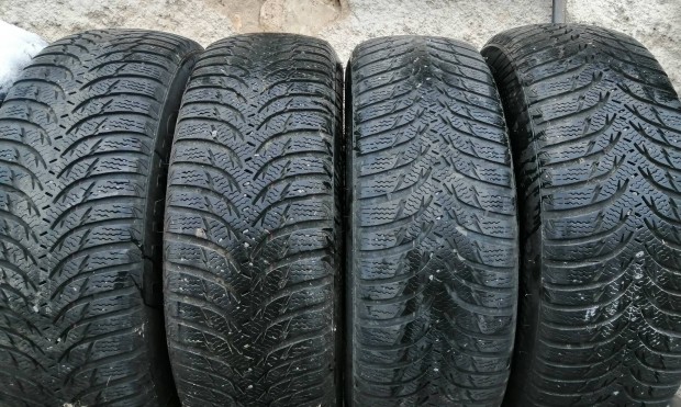 205/60r16 tligumi