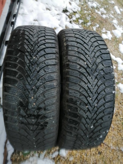 205/60r16 tligumi 