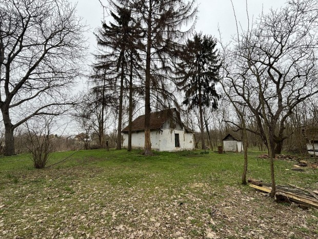 2060 nm-es telek R�men