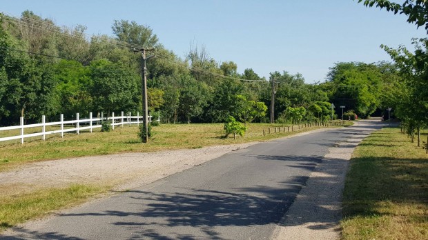 20% beépíthetőség, 8500 m2 belterületi telek/üdülő/ingatlan