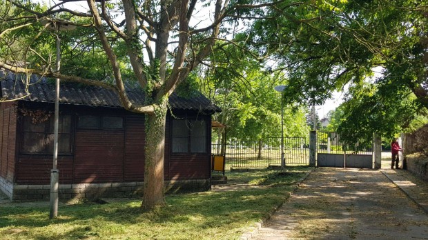 20% bepthetsg, 8500 m2 belterleti telek/dl/ingatlan