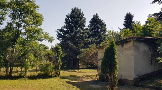 20% beépíthetőség, 8500 m2 belterületi telek/üdülő/ingatlan