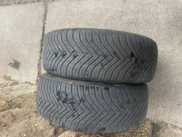 215/55 r17 tligumi