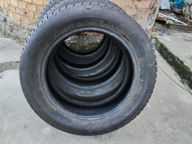 215/60 R 17 sava tli gumi garnitura