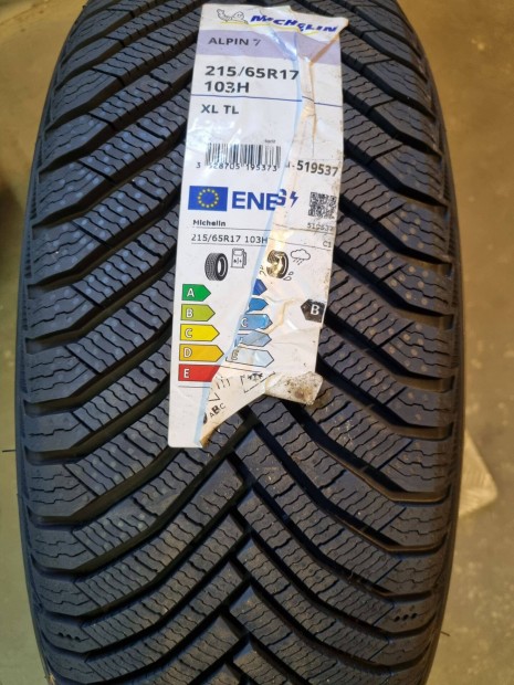 215/65 Michelin Alpin 7