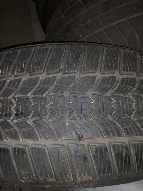 225/55 r17 225 55 17 tligumi sava eskimo hp 2