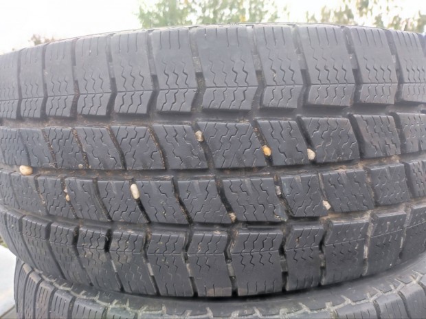 225/55r17C Vredestein tligumi