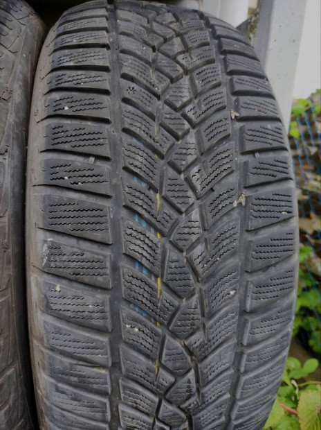 225/55r17es Goodyear tligumi