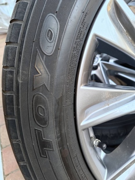 225/55r19 Toyo nyrigumi 