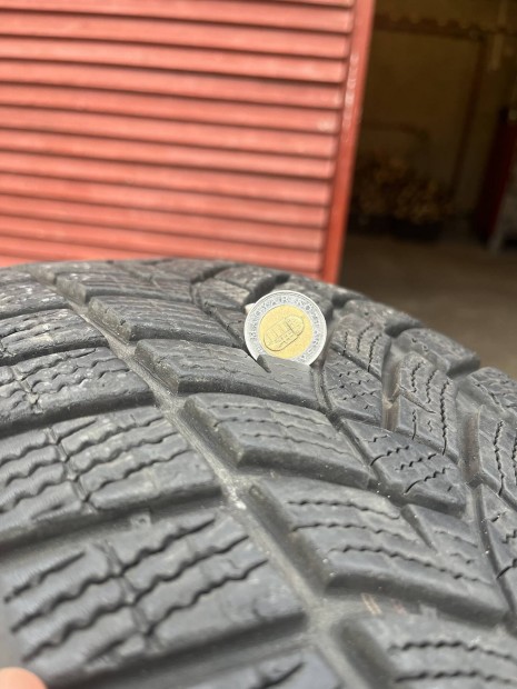 225/65 R17 Good Year T�ligumi