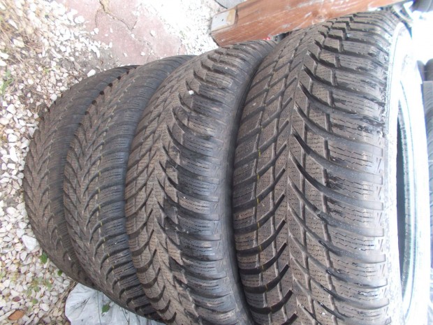 225/65 R17 Nokian Téligumi 2023-AS