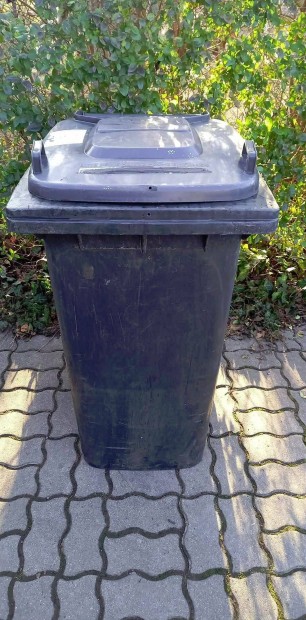 240 literes kommun�lis kont�ner kuka hullad�k gy�jt� t�rol� szemetes