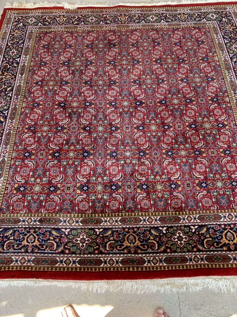241x235 Indian Herati perzsa sznyeg
