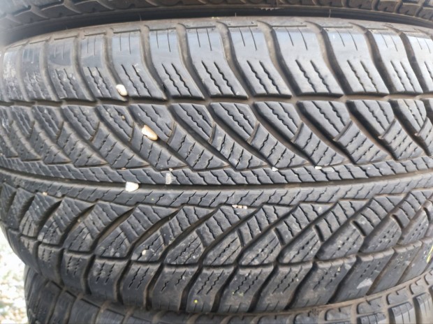 245/45r18as Goodyear tligumi