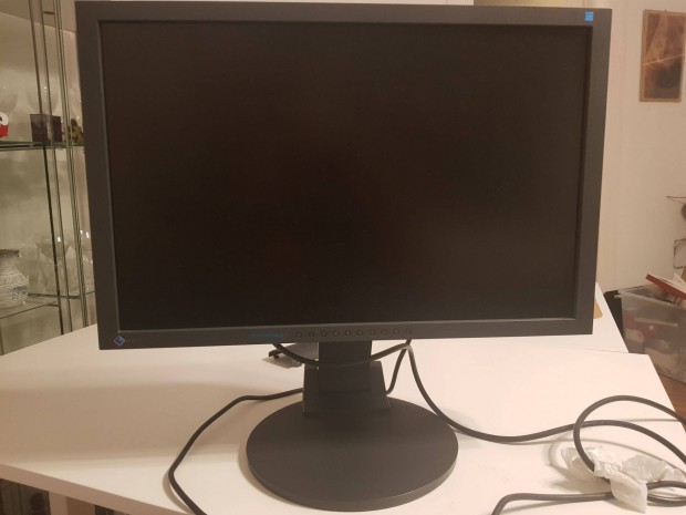 24 Eizo LCD monitor