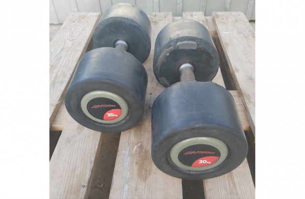 24 s 30 kg-os Lifefitness gumrozott egykezes slyz