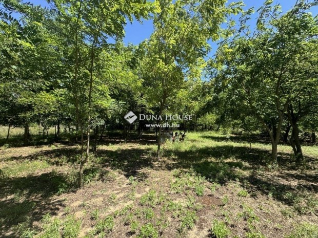 2500 nm-es telek elad� Kecskem�t