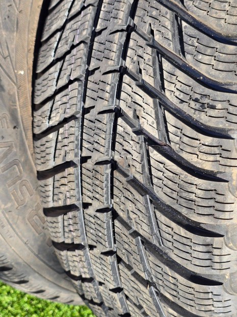 255/65E17 Nokian tligumi