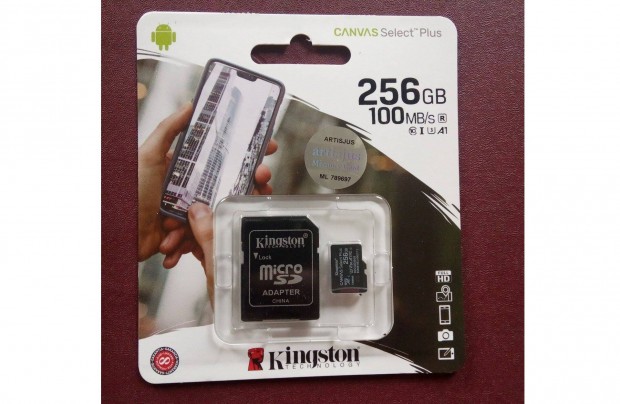 256GB 256 GB Microsd Micro sd krtya 100 Mbs sd bvtvel Kingston