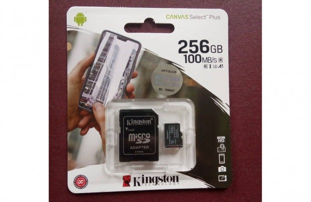 256GB 256 GB Microsd Micro sd krtya 100 Mbs sd bvtvel Kingston