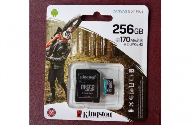256 GB 256GB Kingston micro sd microsd krtya 170MB.s 4K UHD SD bvt