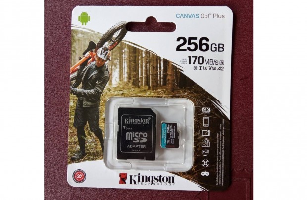 256 GB 256GB Kingston micro sd microsd krtya 170MB.s 4K UHD SD bvt