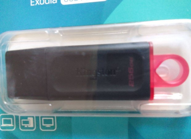 256gb pendrive Kingston Data Traveler Exodia, USB 3.2 - es