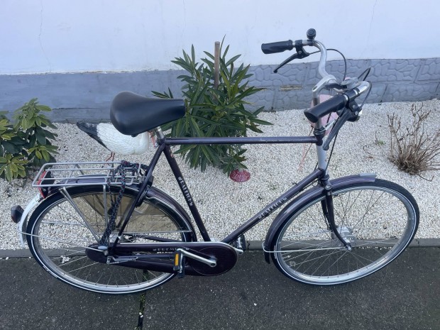 28"- os Raleigh holland