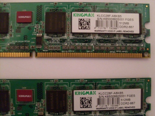 2X512MB Kingmax DDR2-667 RAM