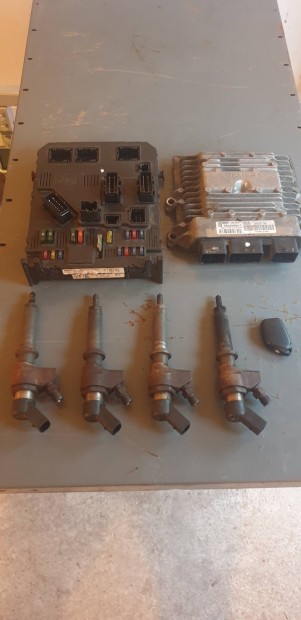 2.0HDI Siemens injector
