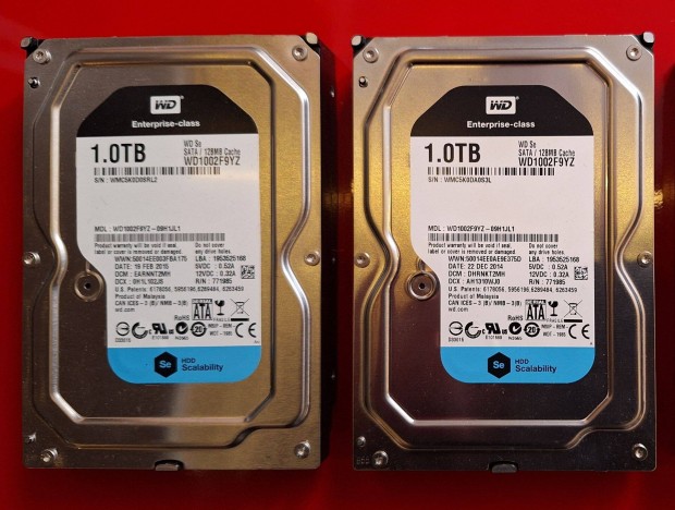 2 db 1 TB SATA HDD Western Digital WD black 3.5" winchester enterprise
