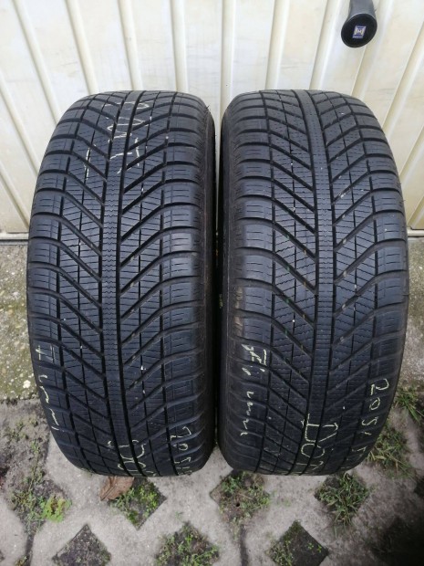 2 db 205/55R16 94V Goodyear Vector 4 vszakos gumi