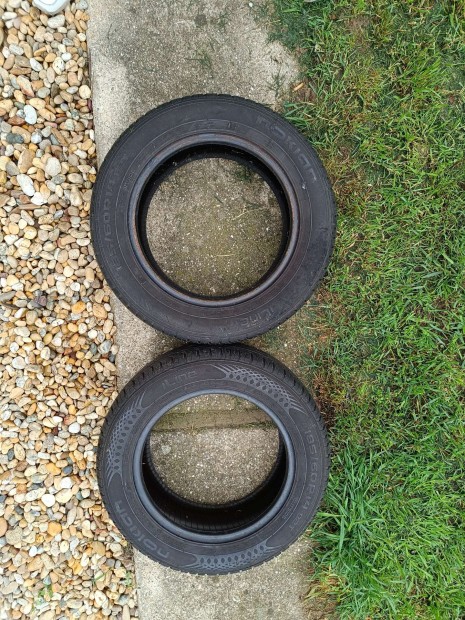 2 db Nokian iline nyári gumi 185/60/R14