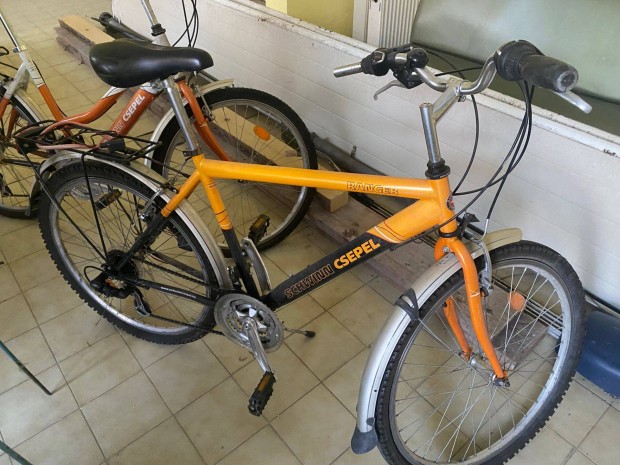 2 db Scwinn Csepel MTB Ni s egy frfi