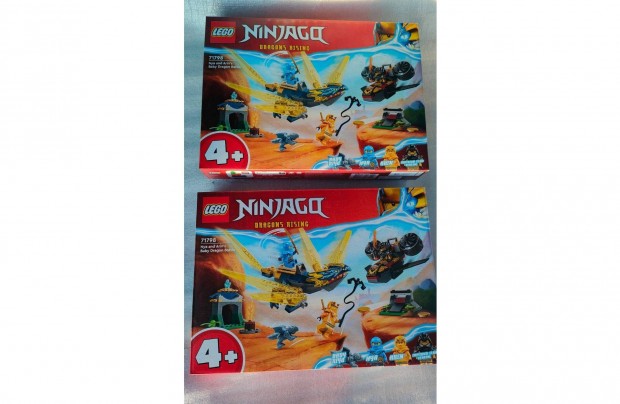 2 db j, LEGO Ninjago 71798 Dragon Rising srkny