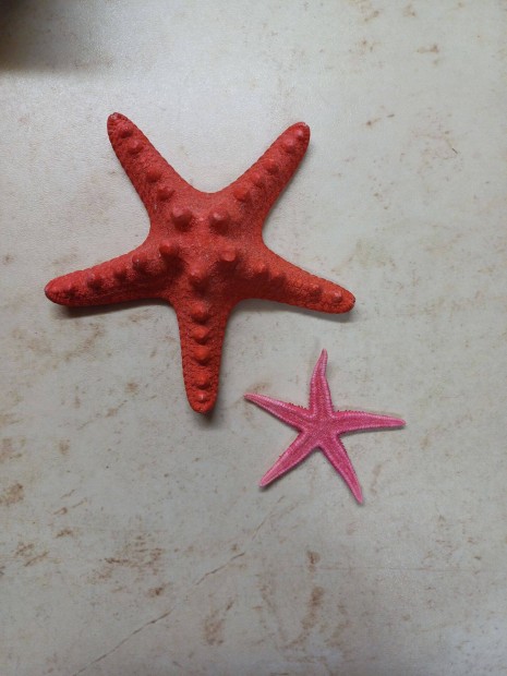 2 db pink tengeri csillag