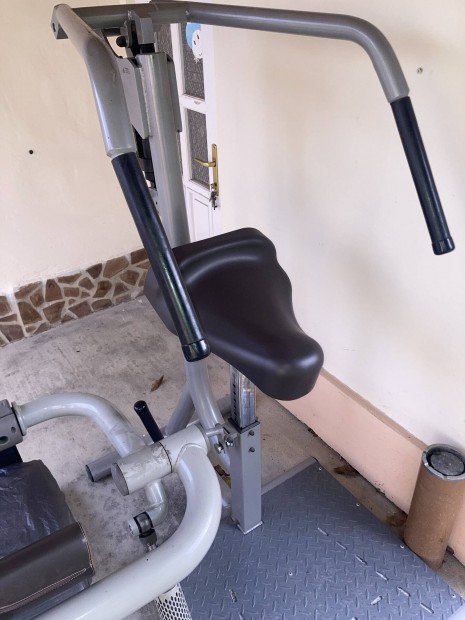 2 db szp Technogym (hasizom,htizom) proxowell edztermes kondigp 