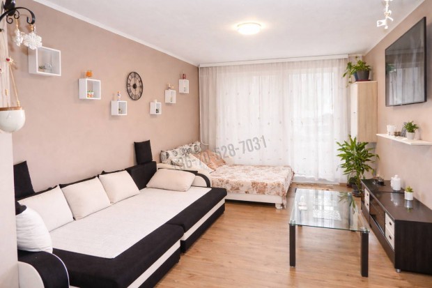 2 szoba hallos nagy erk�lyes lak�s a 9.-en, sz�p kil�t�ssal!