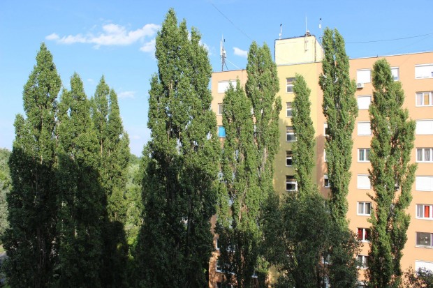 2 szob�s 55m2-es fel�j�tott lak�s Kecskem�t Sz�ch�nyi v�osban kiad�