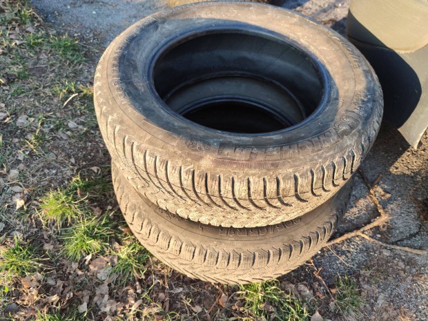 2db 205/65 R15 Michelin Alpin tligumi