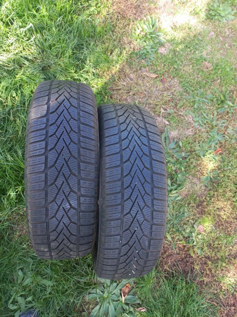 2db Semperit 195/65 R15 tliek