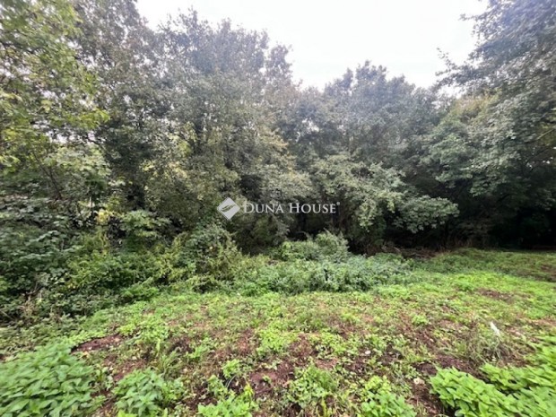 30000 nm-es telek elad� Cserk�t