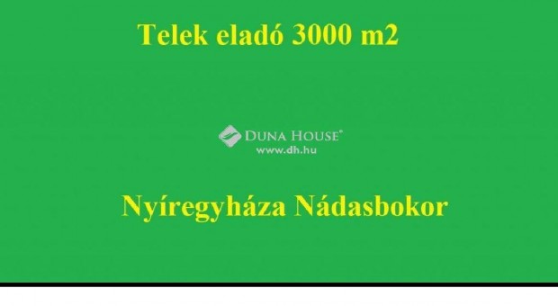 3000 nm-es telek elad Nyregyhza #3920400