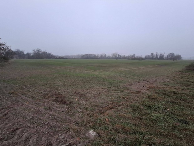 30db telkes, belter�leti, fejleszt�si ter�let, Kiskunlach�z�n elad�!