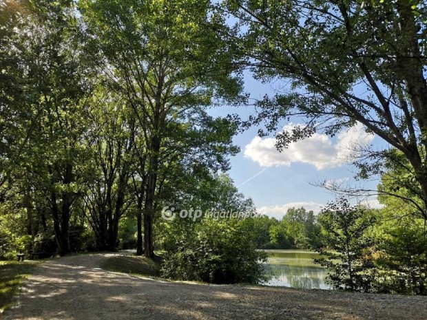 350 nm-es h�z elad� Tak�csi