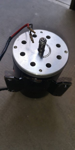 36V DC motor, 1000 Watt