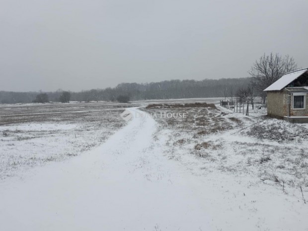 380 nm-es telek elad� Pusztavacs