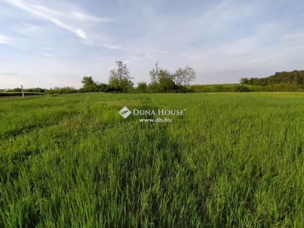 3993 nm-es telek elad� Gomba